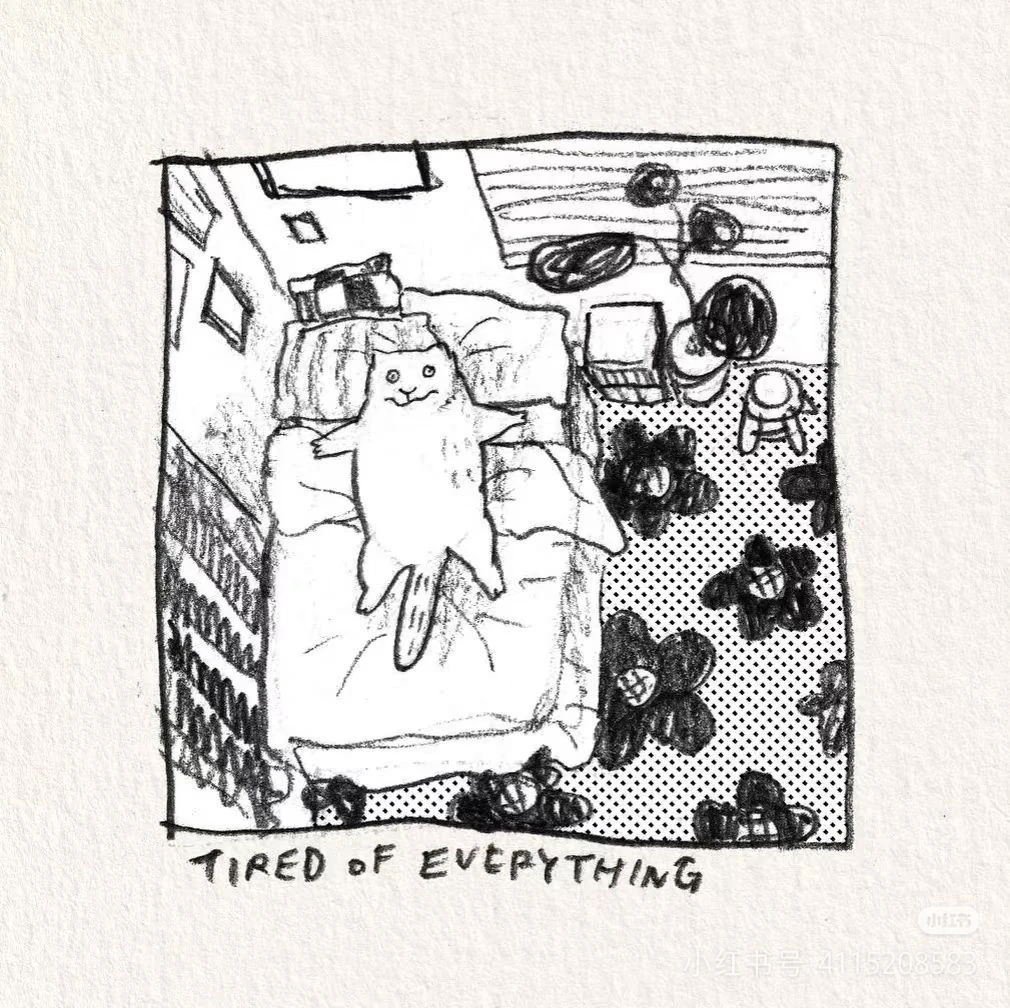 八上第五周:假期