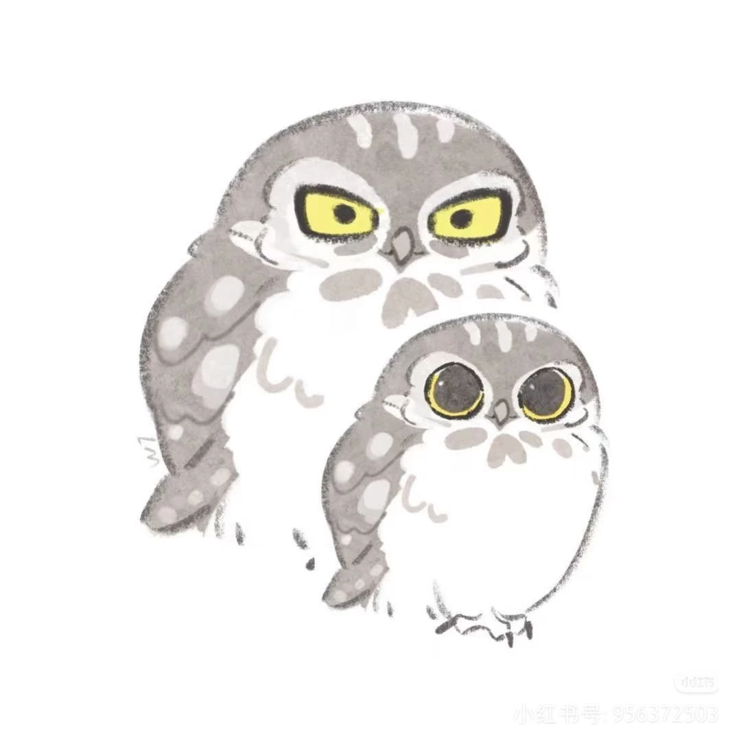 八上第十七十八周