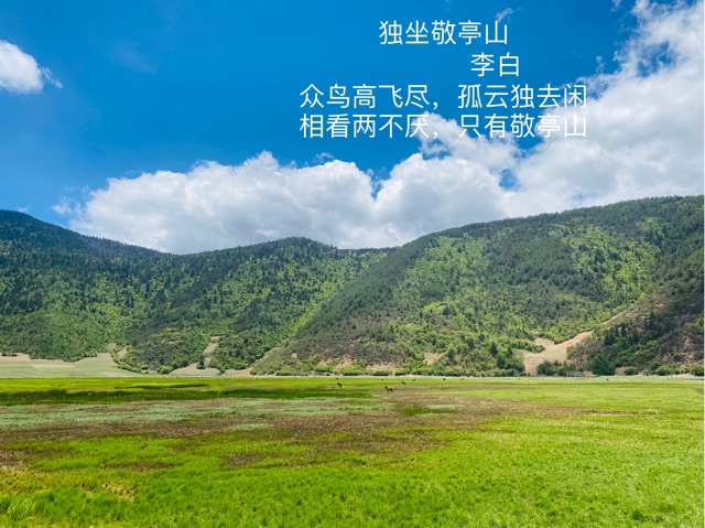 古詩《獨(dú)坐敬亭山