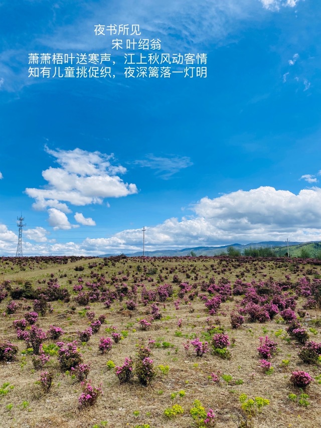 古詩《夜書所見》