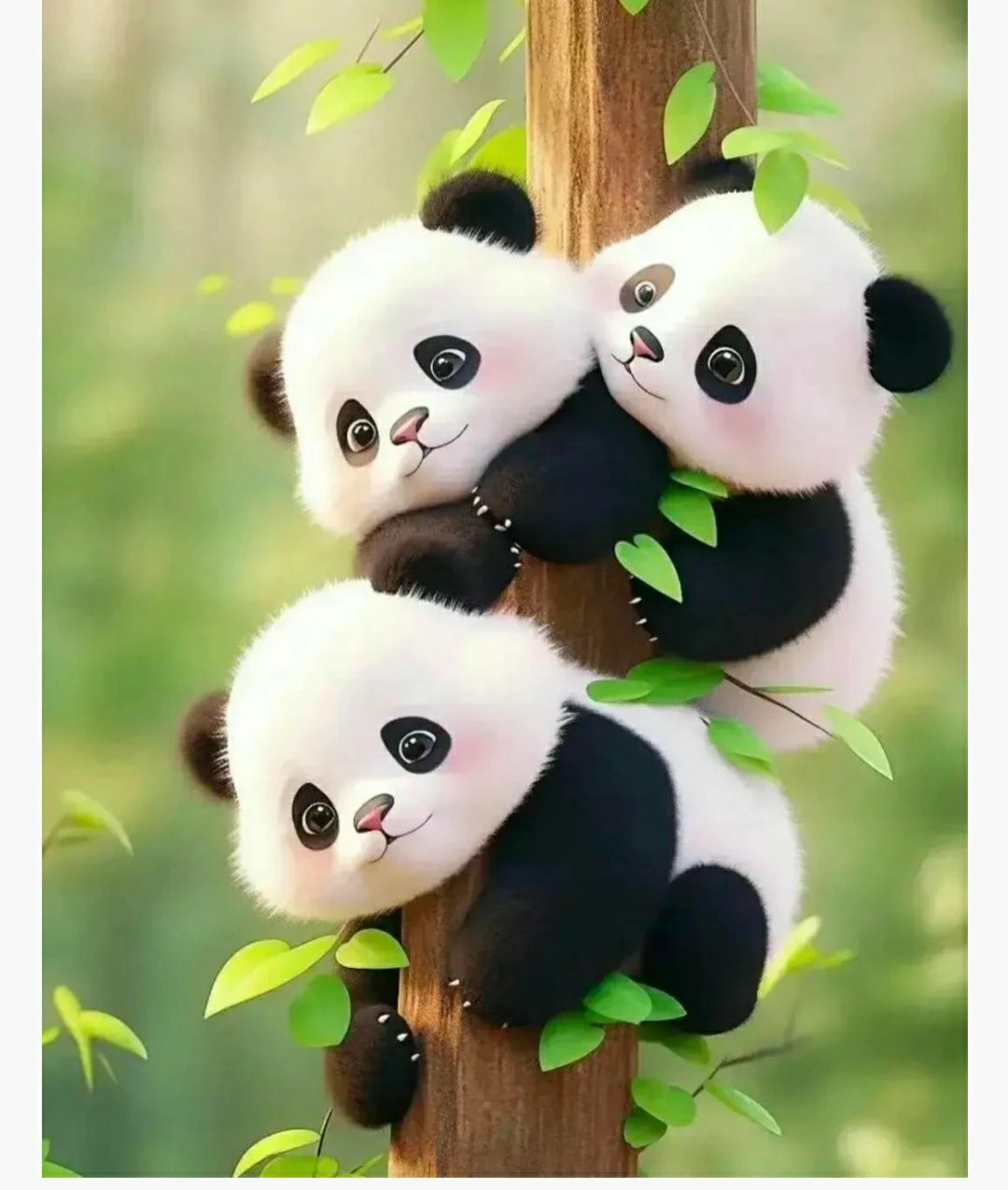 她應(yīng)該是又升級(jí)了