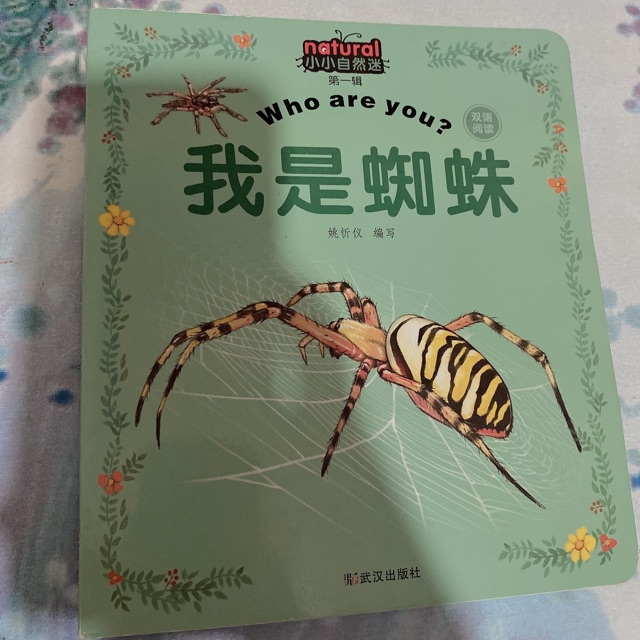 《我是蜘蛛》??