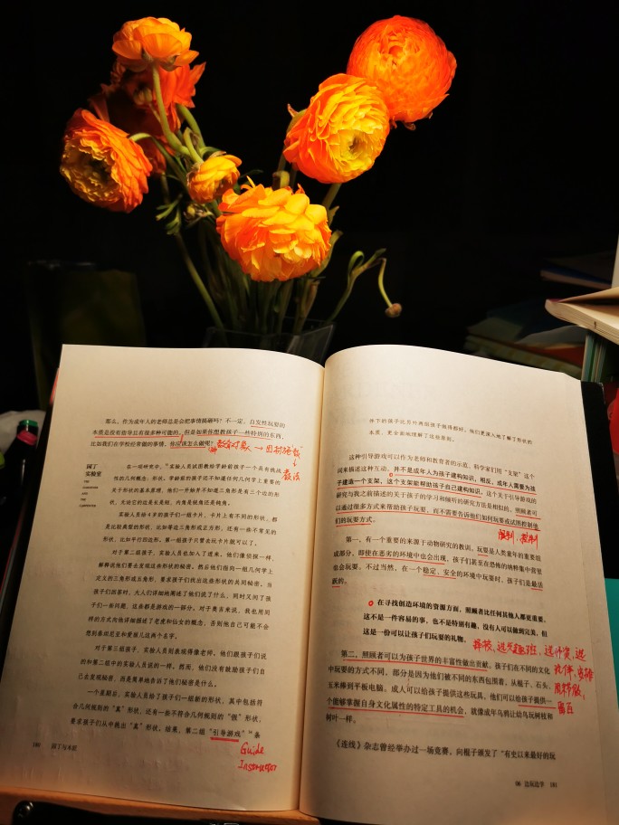 《园丁与木匠》第