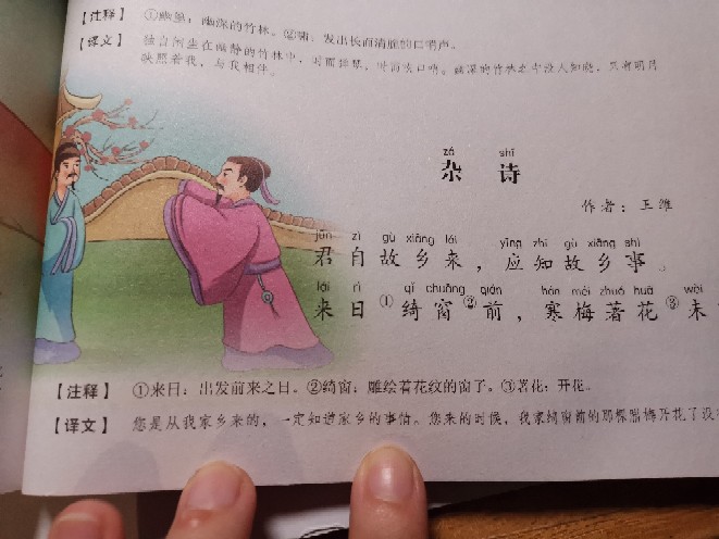 雜詩