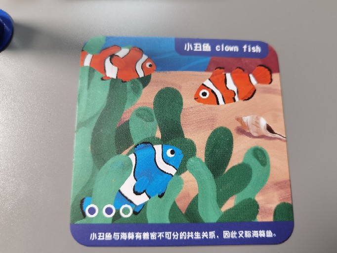 细数那些孩子喜爱 大人也爱的桌游 下 小花生