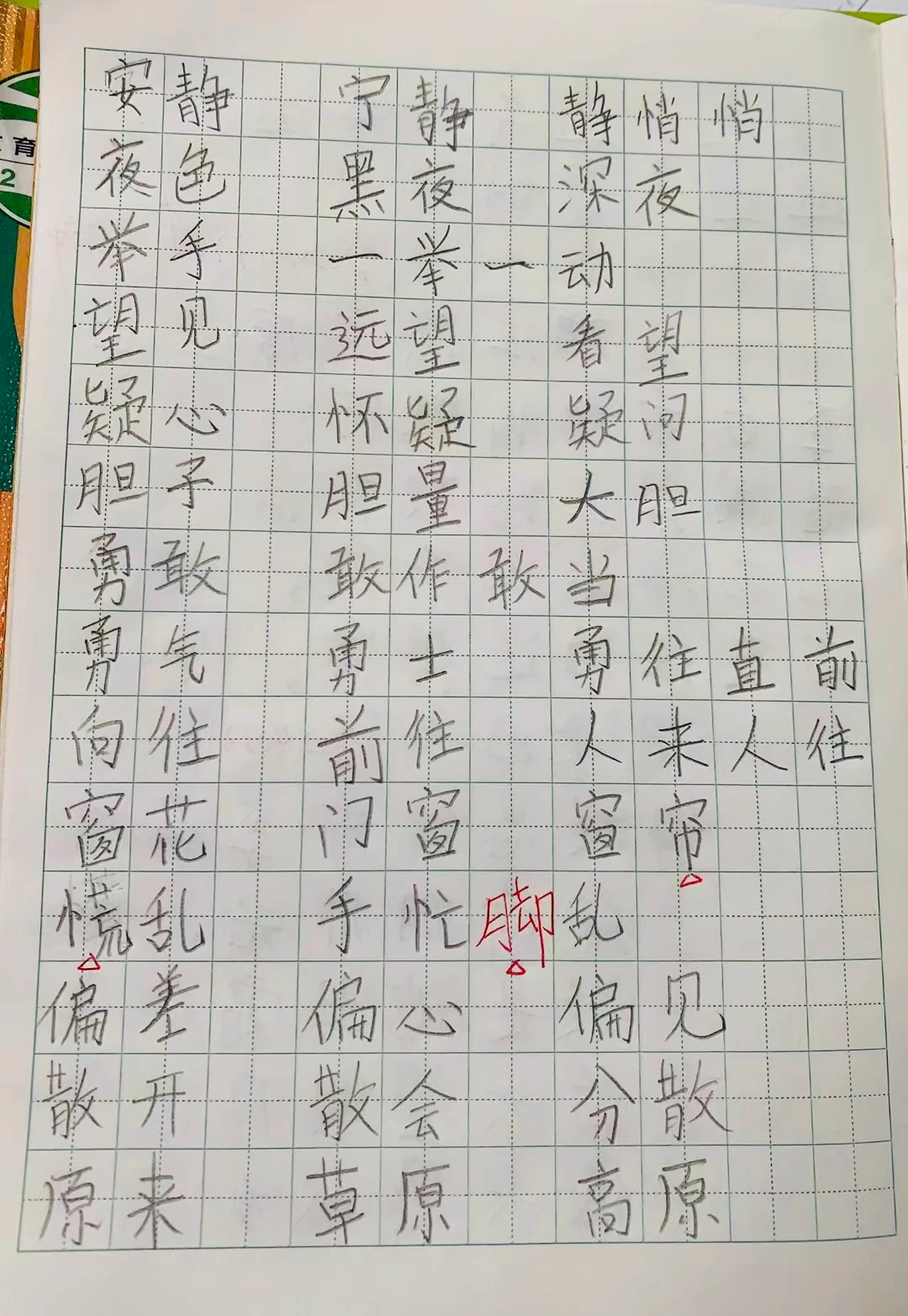 一年級寫字小感悟