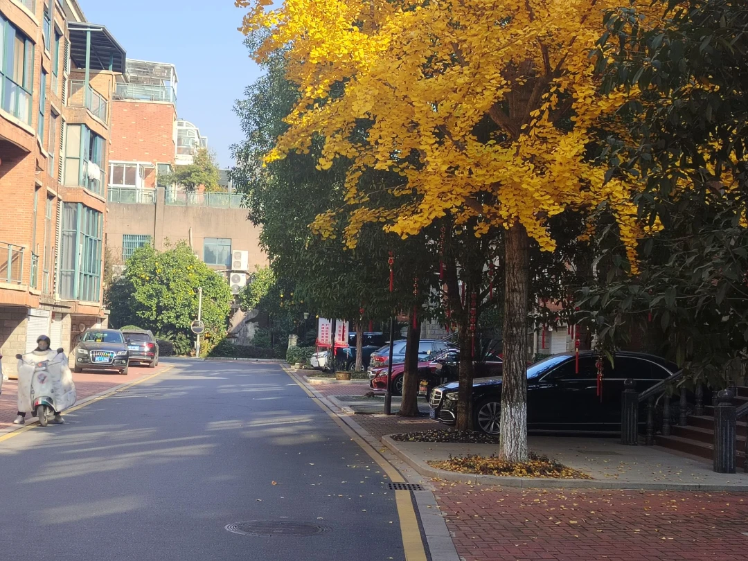 与青春期和解2025