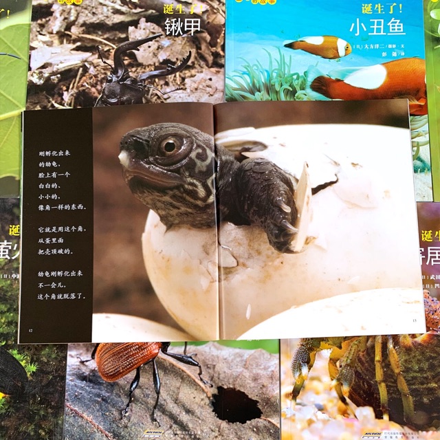 3-6歲親近自然讀