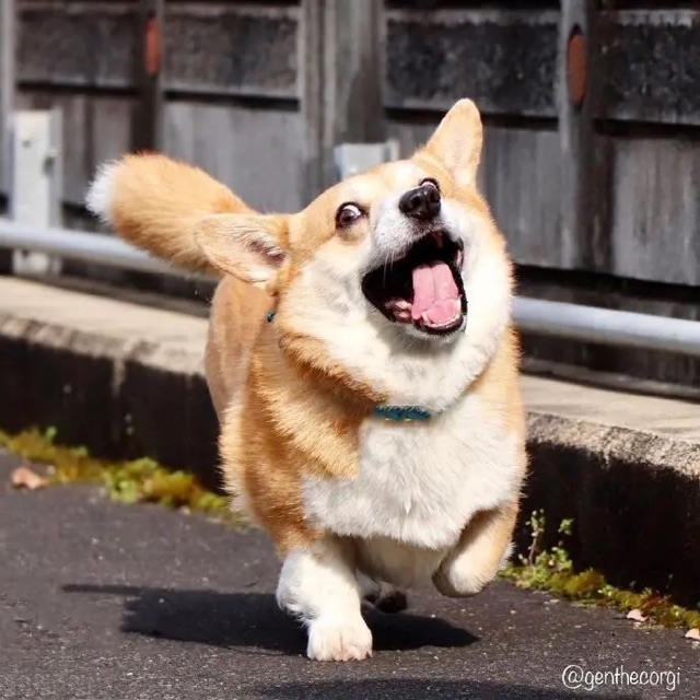 獎勵與甜頭是