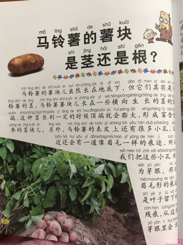 自主閱讀成長記錄