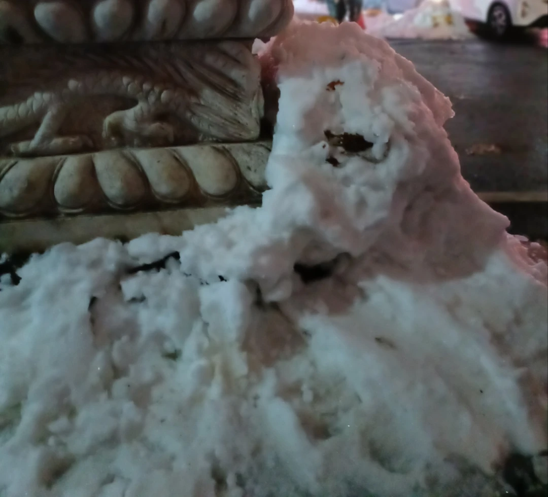 雪夜里慈祥的大象