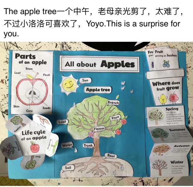 谁说男娃不耐鸡 5岁大童英语启蒙一年后 听说读写 进阶的年度总结 小花生