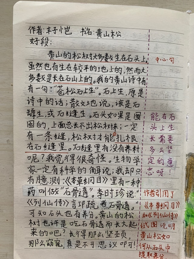 語文課外閱讀讀書