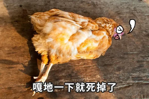 期中考试总结4.24