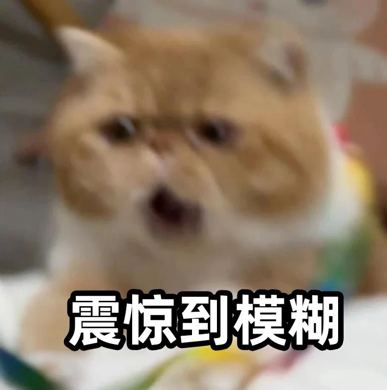 2025.2.18 整牙⑥
