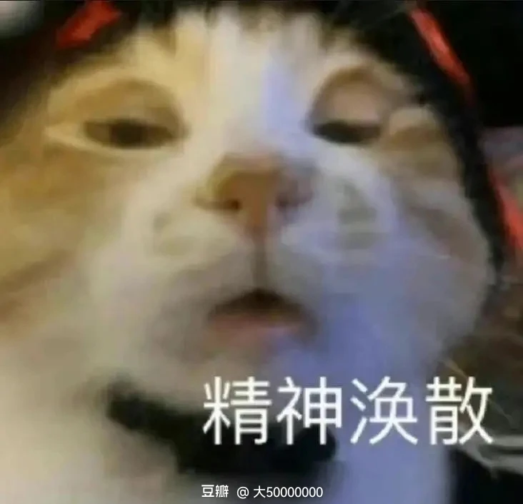 關(guān)于我陪娃去補(bǔ)考