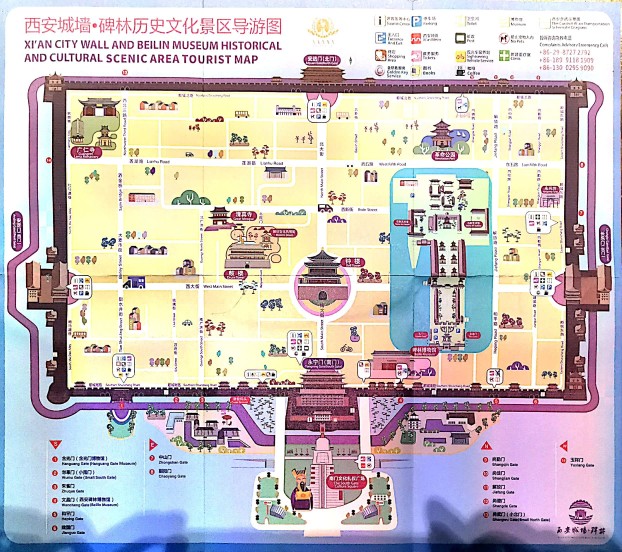 2017.08.17陽(yáng)陽(yáng)英