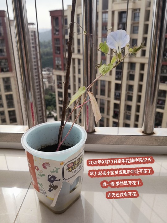 2021年9月27日播