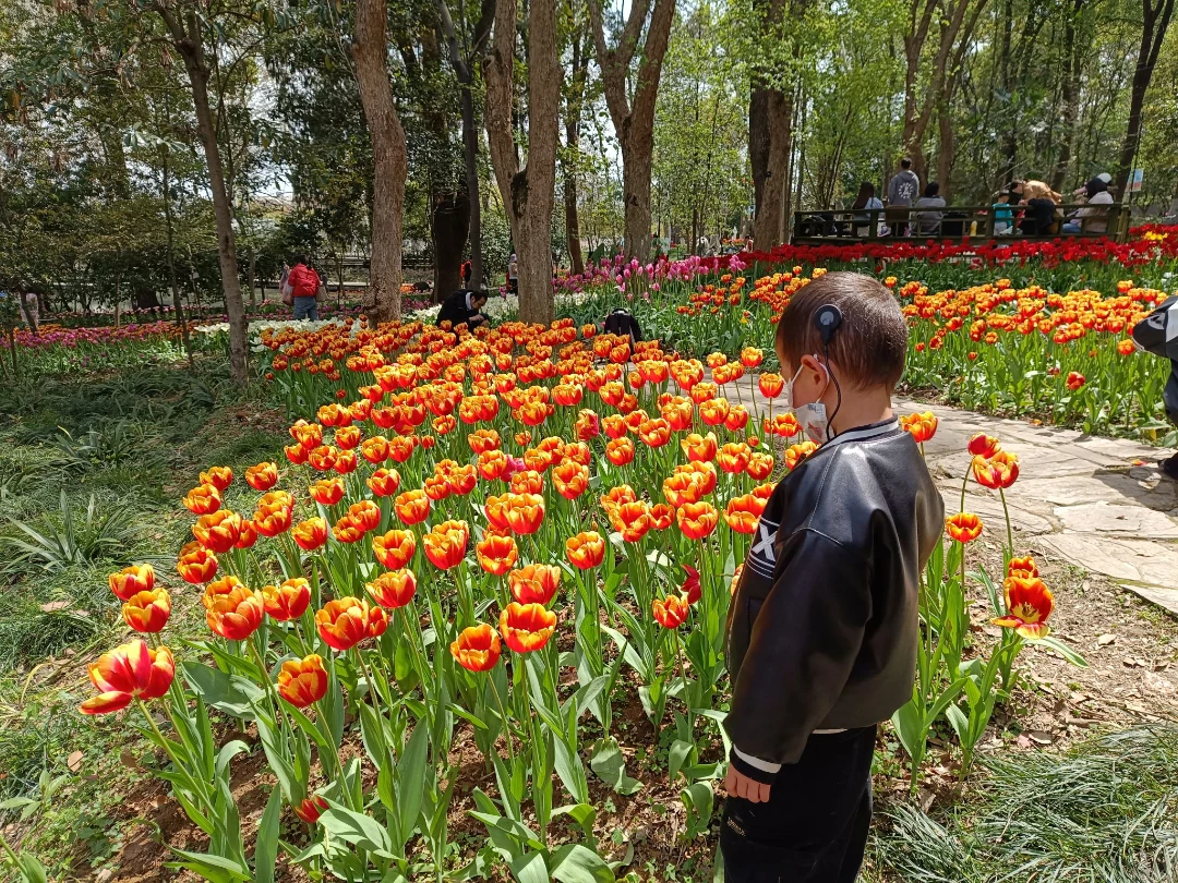 春游武漢植物園之