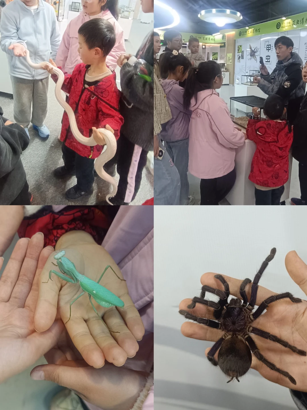 武汉凯德西城，万