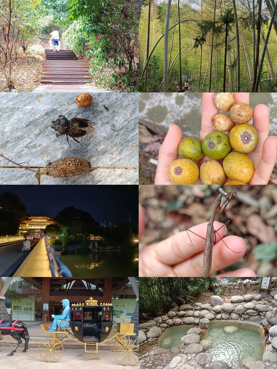 咸寧放松之行，潛