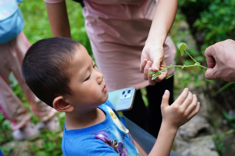 大別山南武當親子