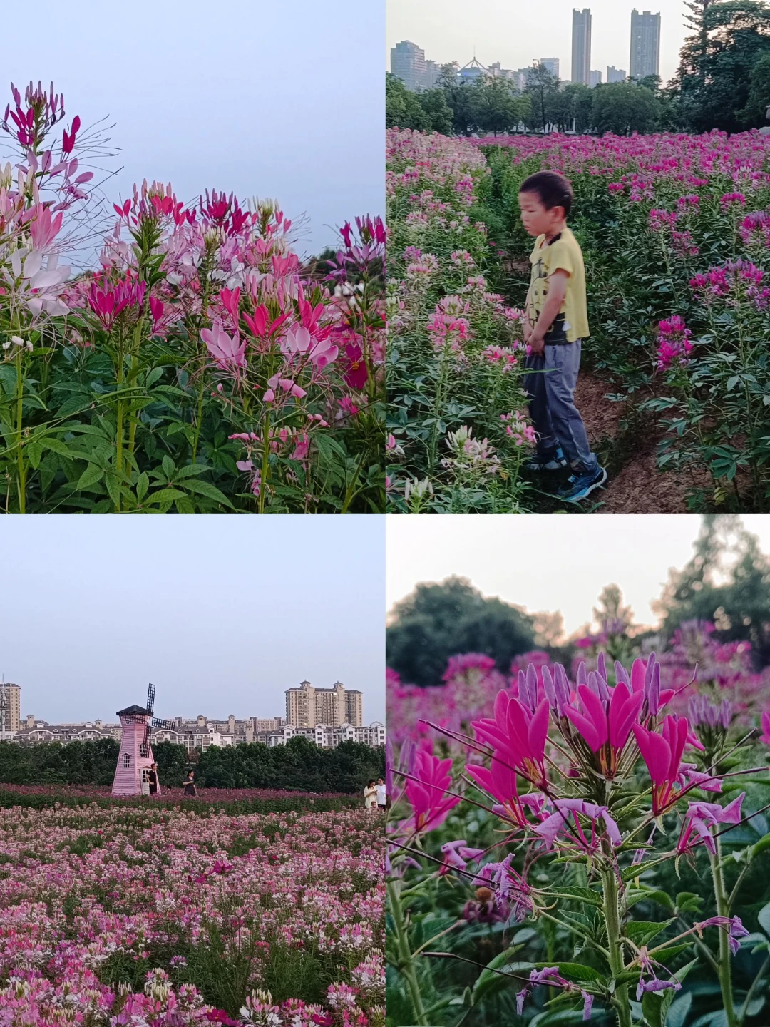 森林公園帶娃賞醉