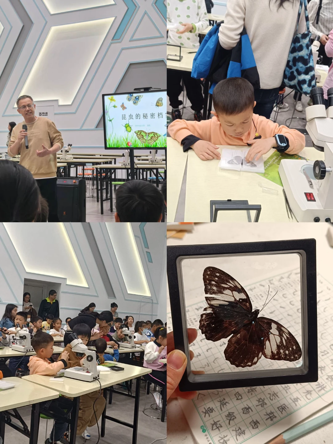 湖北省科技館，昆
