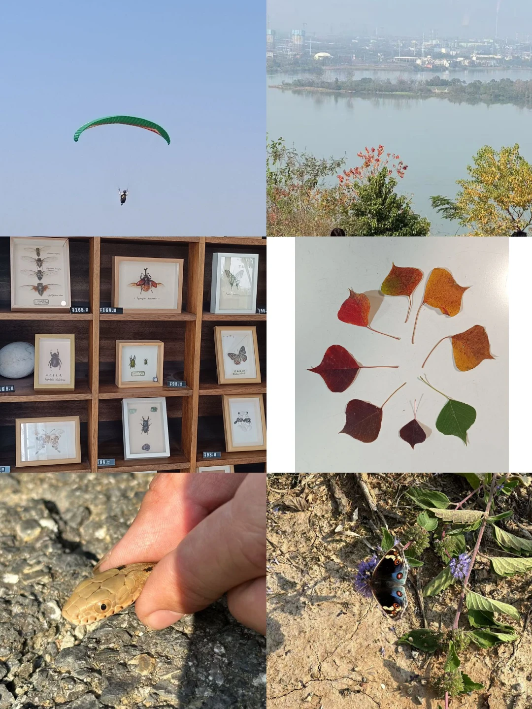 家长课05，小山<f