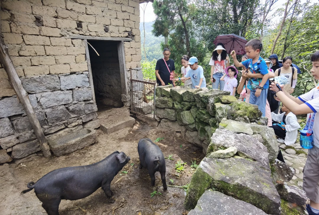 大別山南武當(dāng)親子