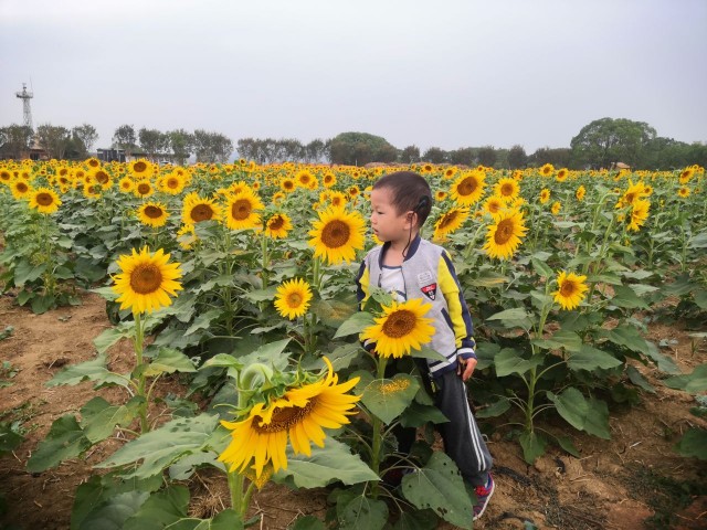 馬鞍山森林公園向