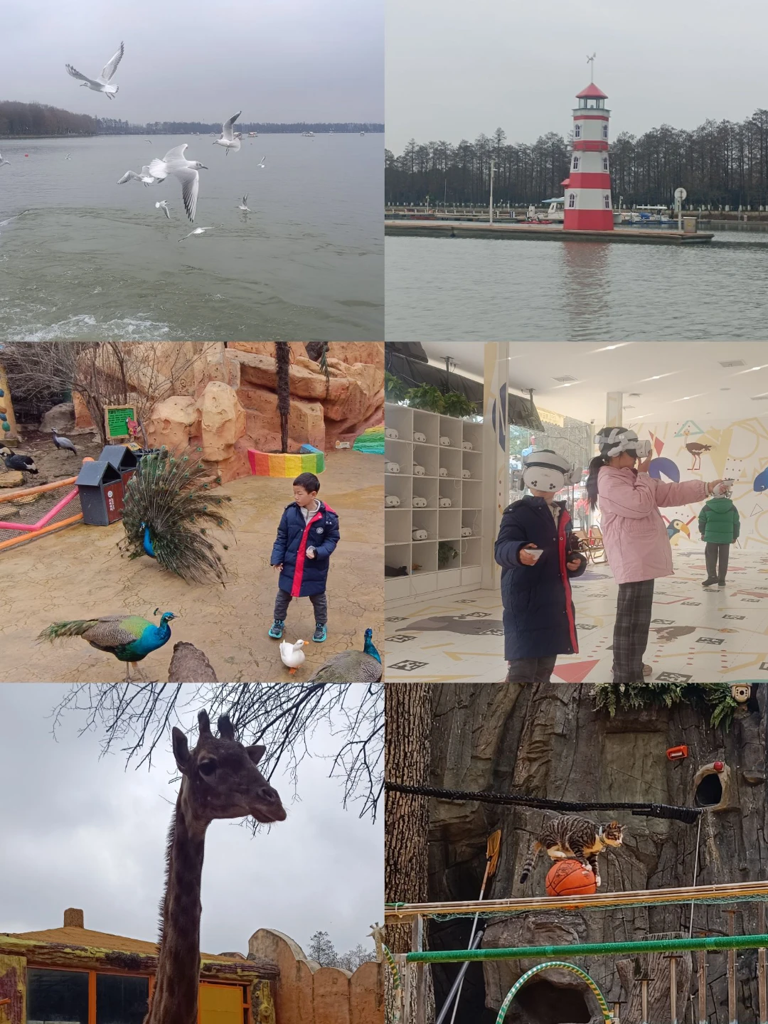 2026春节，东湖遛