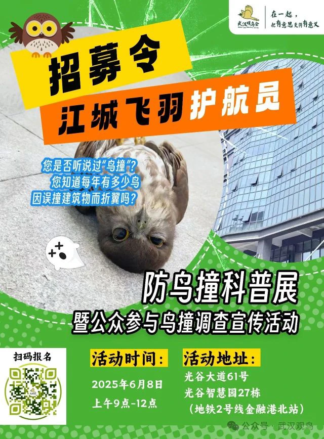 江城飞羽护航员~