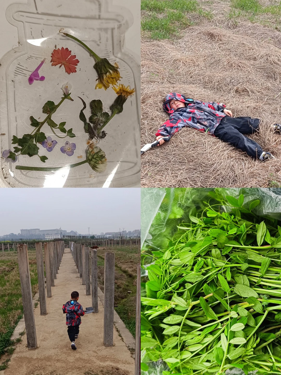 華農(nóng)，和娃賞春日