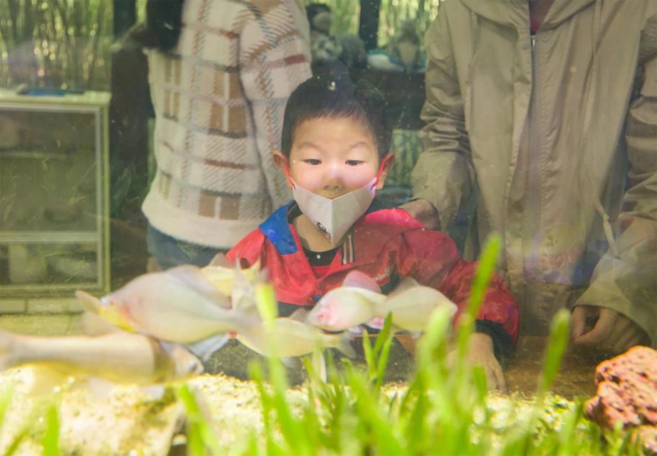 馬鞍山森林公園自