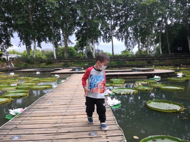 夜游武漢植物園