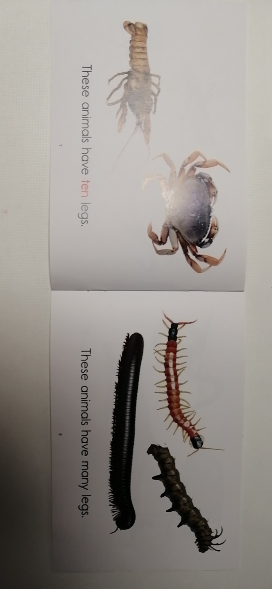 分級閱讀筆記第一