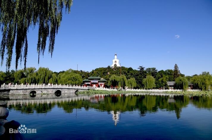 逛個公園還能做科