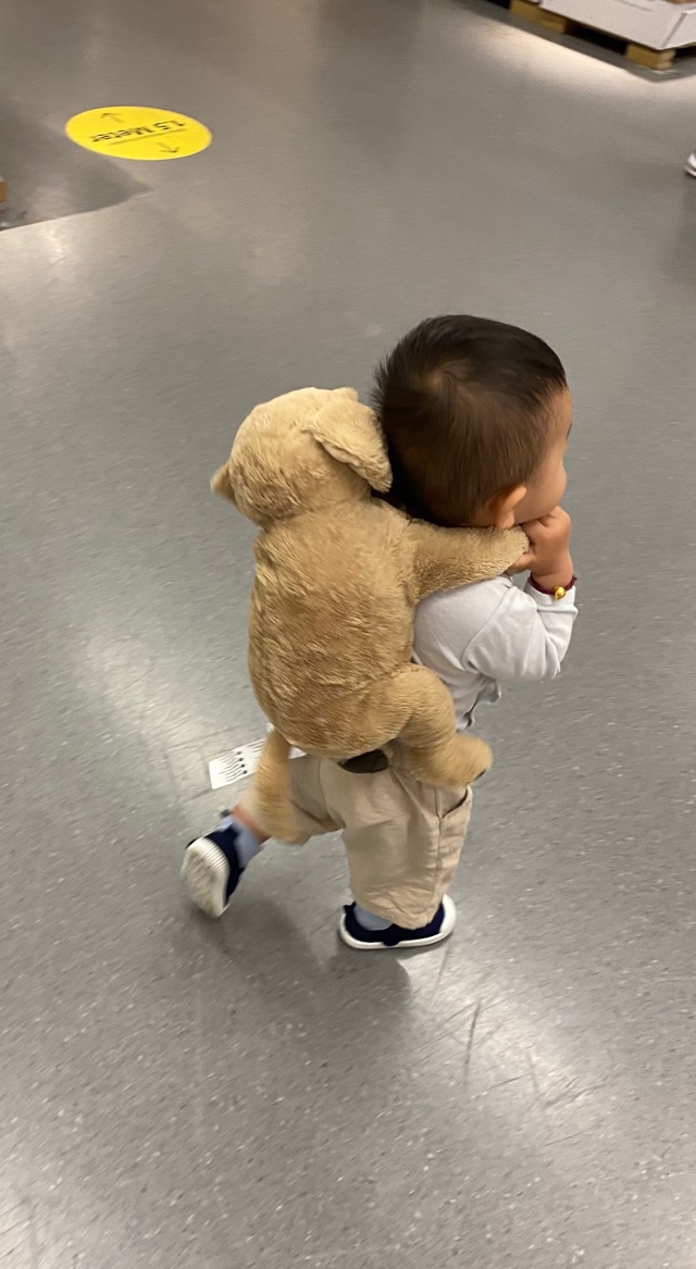 德國幼兒園“二進