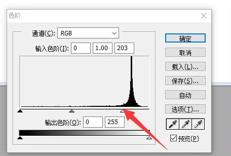 圖片改成文字題