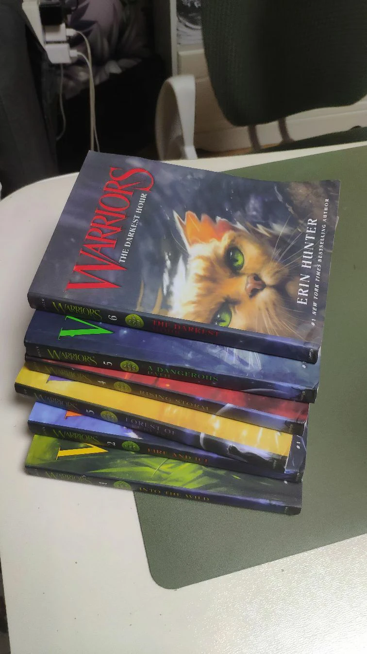 猫武士第一季读完