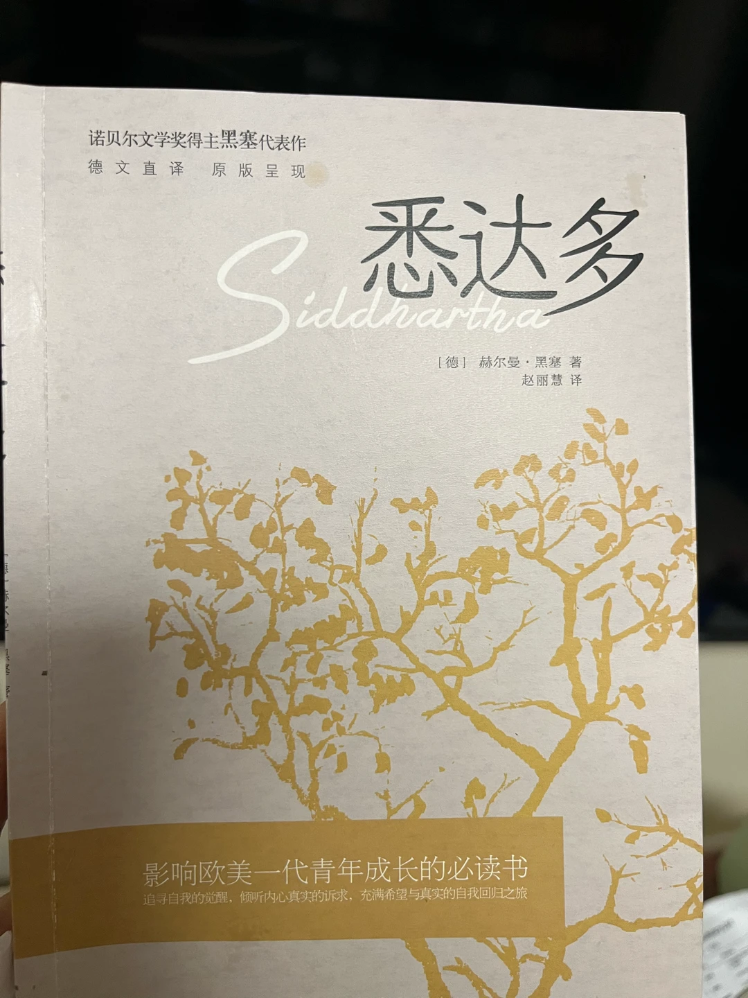 《悉達(dá)多》分享給