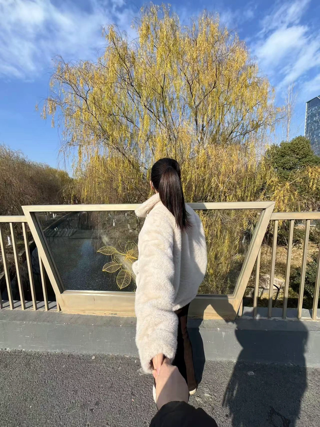 升學記：從主導者