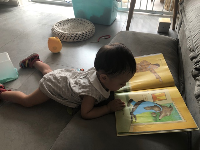 讀書留念