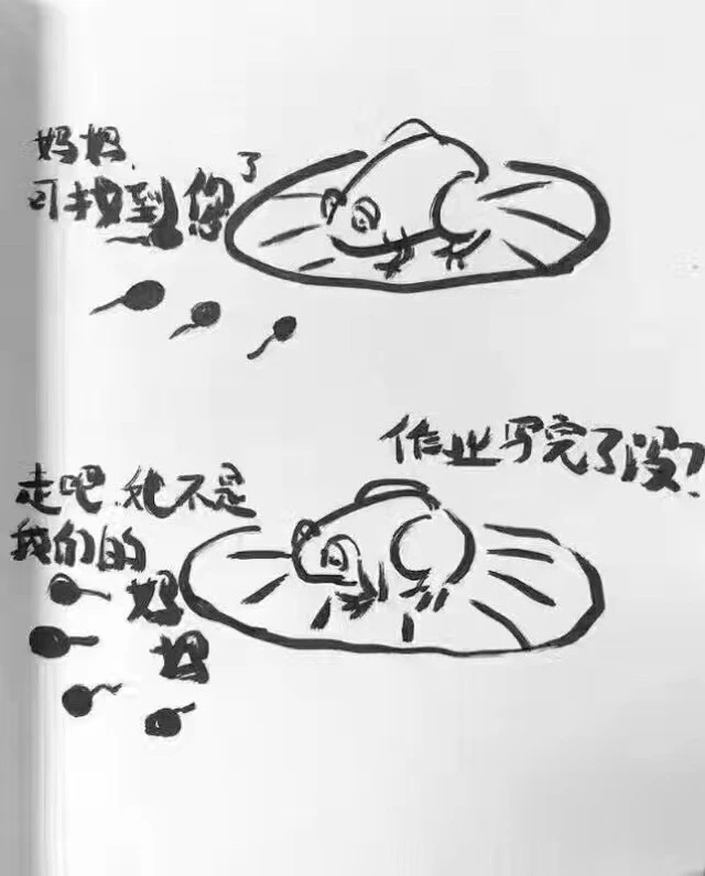 北京妞媽淺顯分析