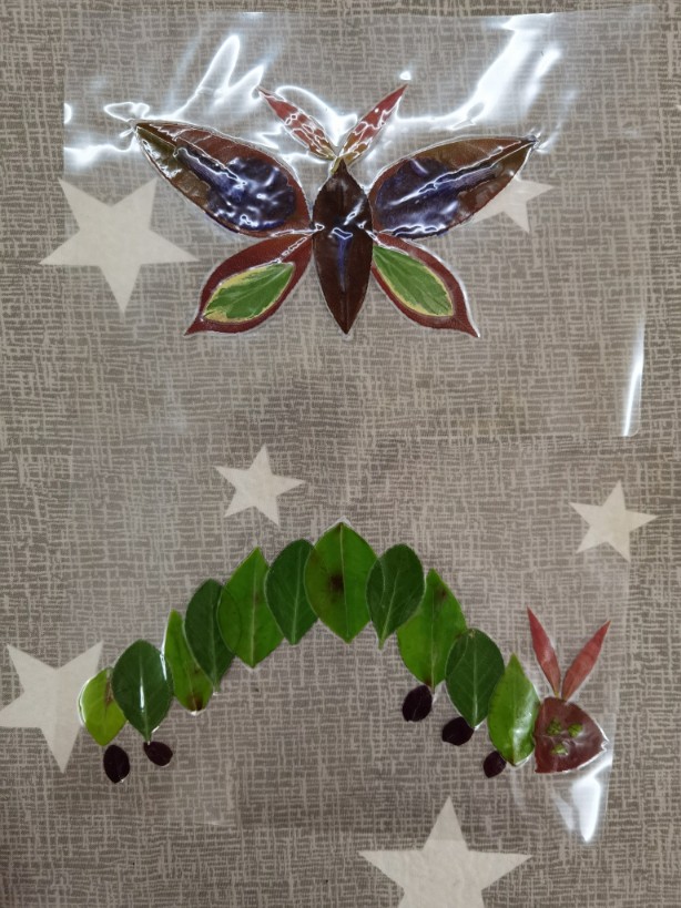 繪本拓展2