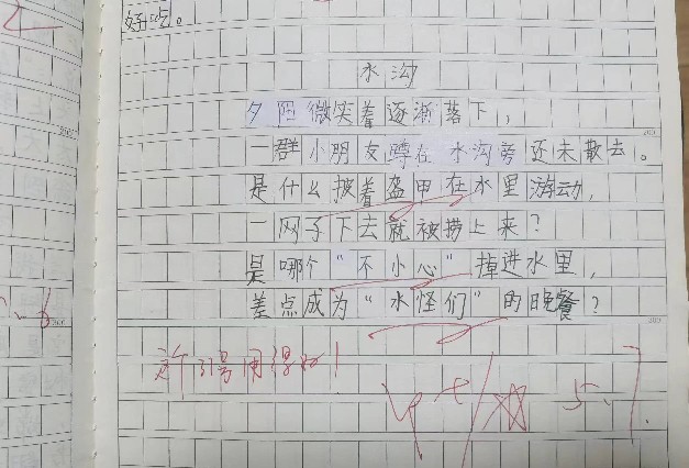 童趣的小练笔