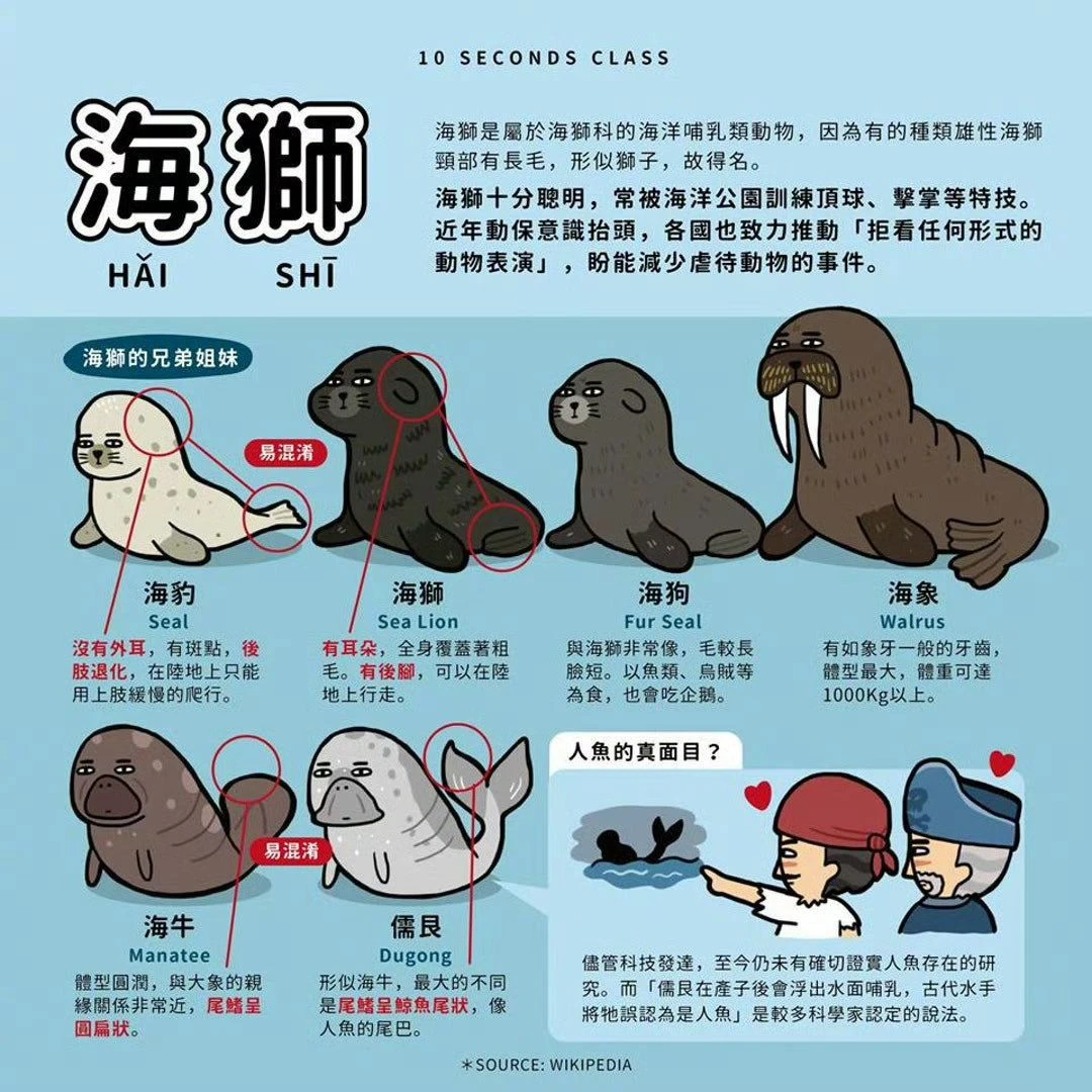 海洋哺乳動物