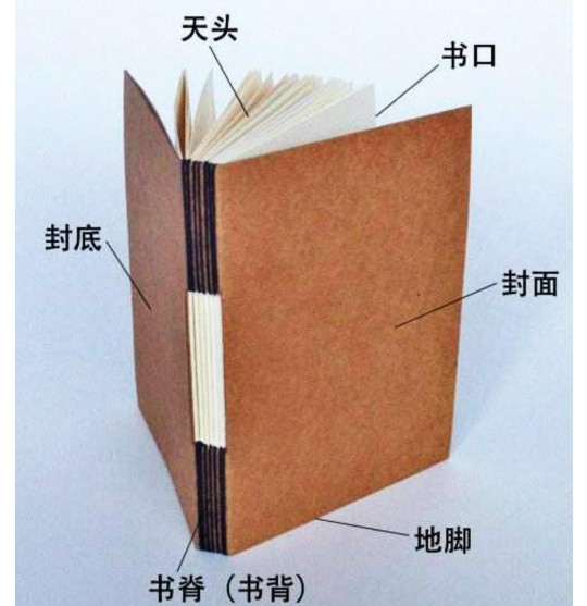 精讀繪本的意義