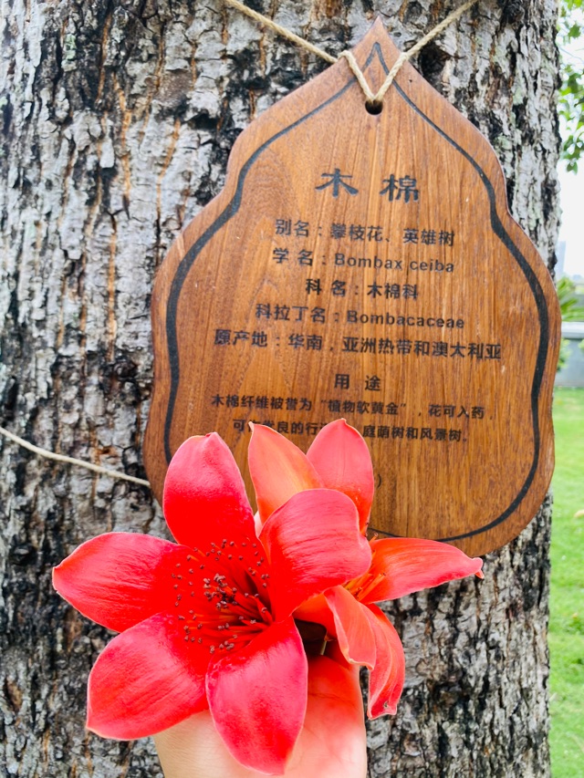 廈門之旅